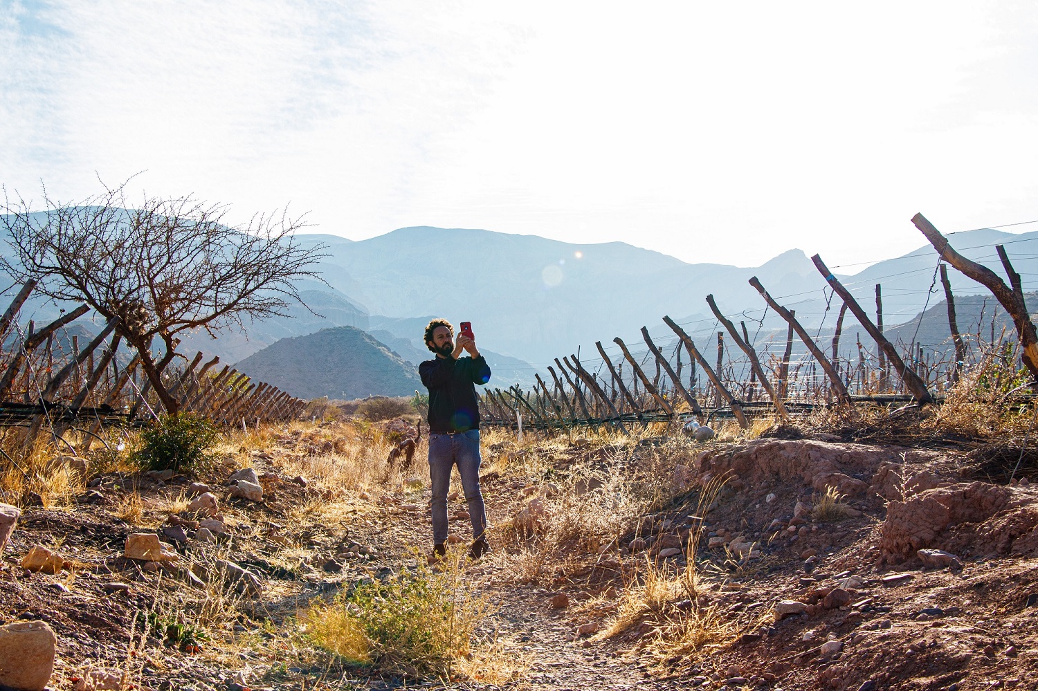 Wines: reverse mission to export 