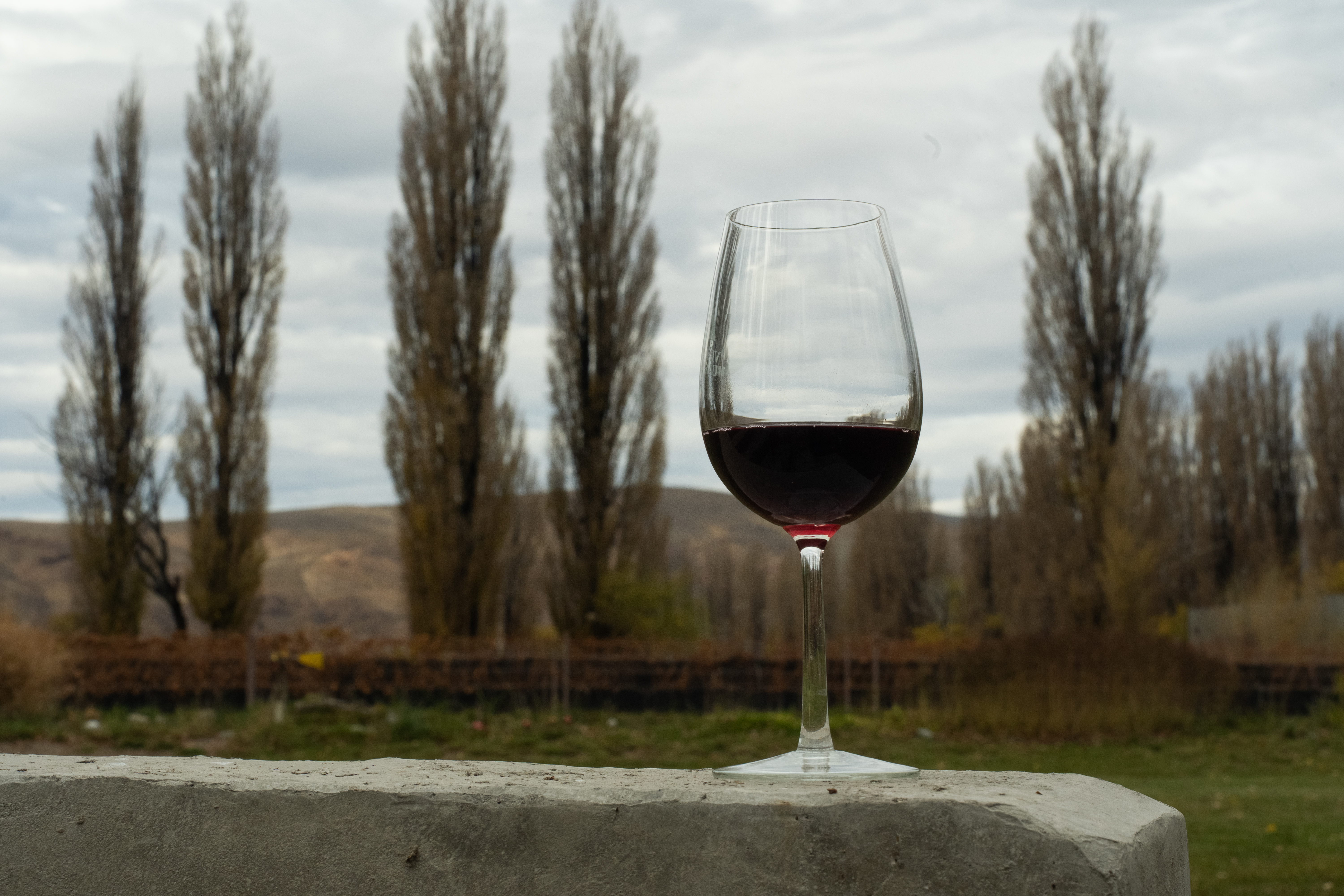 Wines: Reverse trade mission to promote exports 